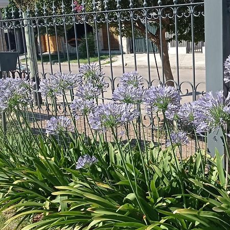 Oasis Cochera Opcional Bahía Blanca Стая снимка