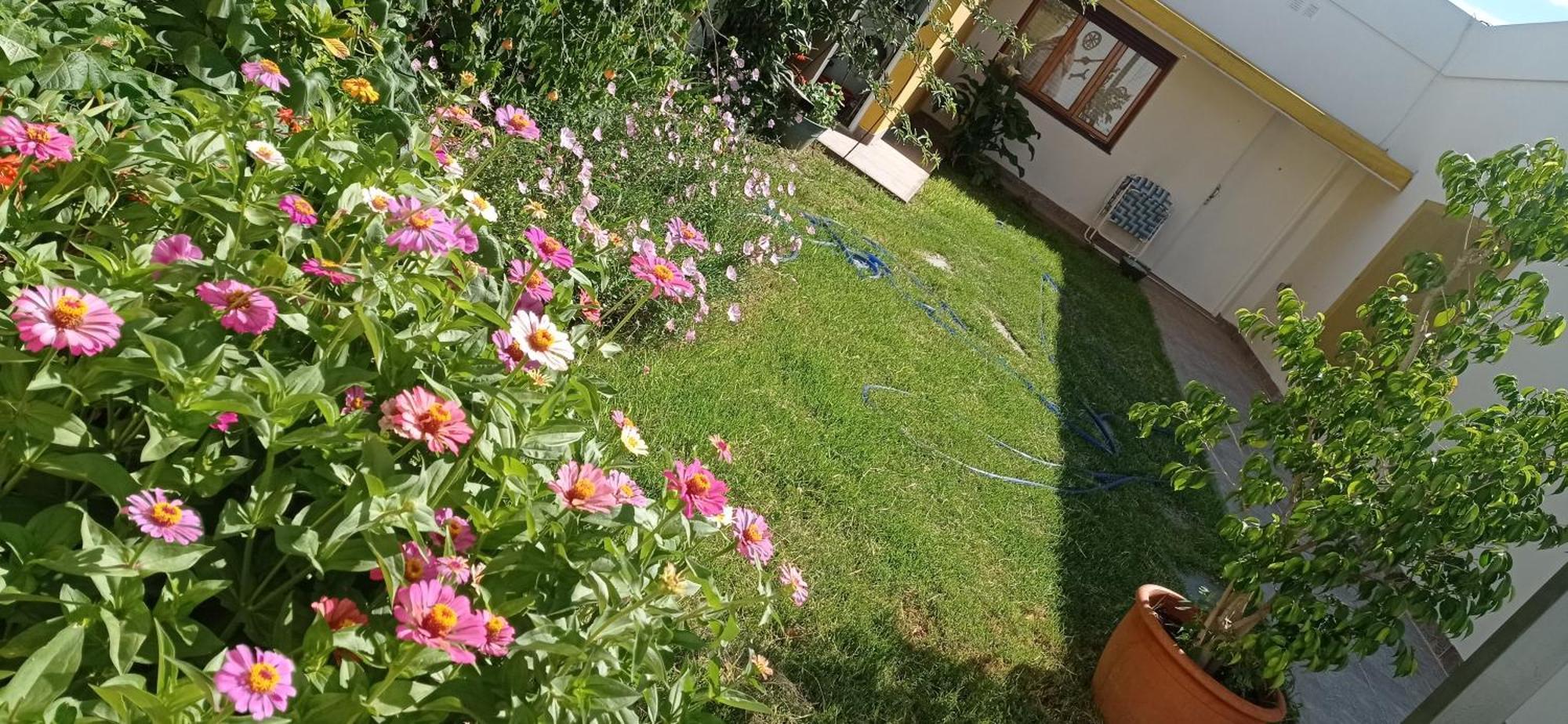 Oasis Cochera Opcional Bahía Blanca Стая снимка